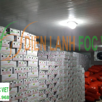 lắp đặt kho lạnh nông sản