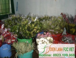 kho-lanh-bao-quan-hoa-tuoi-3