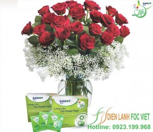 kho-lanh-bao-quan-hoa-tuoi-4