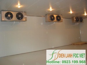 kho-lanh-bao-quan-thuy-san-3