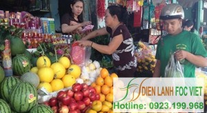 kho-lanh-bao-quan-trai-cay-4