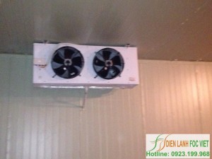 kho-lanh-nong-san-gia-re