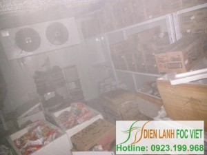 lap-dat-kho-dong-lanh-thuc-pham