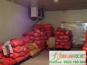 lap-dat-kho-lanh-bao-quan-ca-rot-5