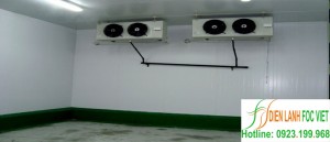 lap-dat-kho-lanh-bao-quan-khoai-tay (2)