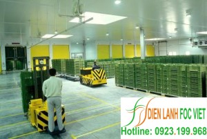 lap-dat-kho-lanh-bao-quan-nong-san-2