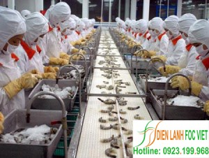 lap-dat-kho-lanh-bao-quan-thuy-hai-san-4