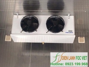 lap-dat-kho-lanh-bao-quan-thuy-san-1