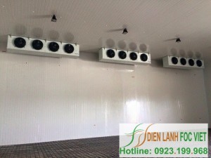 lap-dat-kho-lanh-bao-quan-thuy-san-2