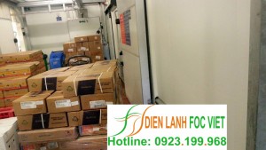 lap-dat-kho-lanh-cua-hang-thuc-pham-1