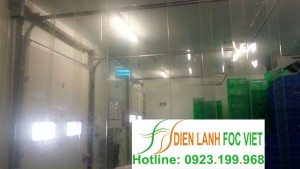 lap-dat-kho-lanh-sieu-thi-metro