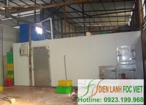 lap-dat-kho-lanh-thuy-san-1