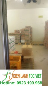 thi-cong-kho-lanh-thuc-pham-chuoi-cua-hang-1