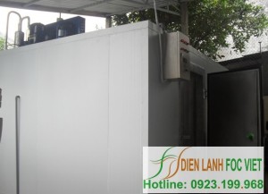 thi-cong-lap-dat-kho-dong-lanh-thuy-san