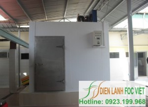 thi-cong-lap-dat-kho-lanh-thuy-san