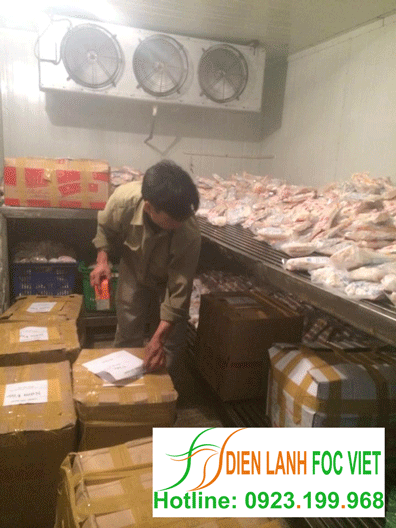 lắp đặt kho lạnh cấp đông bảo quản thịt lợn, thịt gà, thủy hải sản