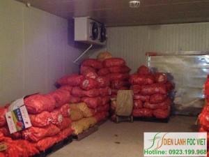 carrot-cold-storae-installation-fruit-and-agricultural-product-cold-storage