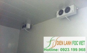 cold-storage-for-agricultural-products-3