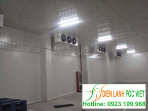 Cold Storage Introduction Cold Storage Introduction