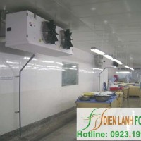 fish cold storage