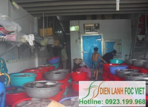 fish cold storage installation