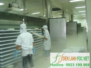 fishary cold storage
