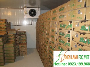milk-cold-storage-installation-1