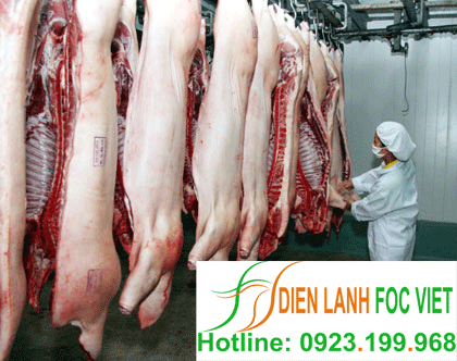Lắp đặt kho lạnh bảo quản thịt, thịt lợn, thịt gà, thịt bò
