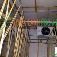 phòng lạnh nuôi trồng nấm