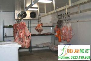 Kho lạnh bảo quản thịt lợn
