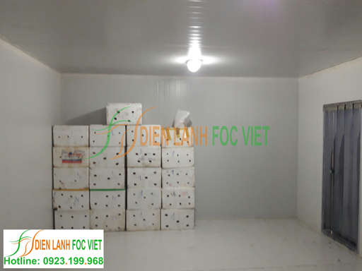 thi công kho lạnh bảo quản cam