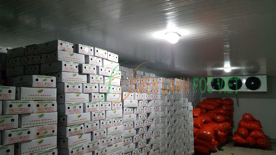 kho lạnh bảo quản cà rốt tươi xuất khẩu