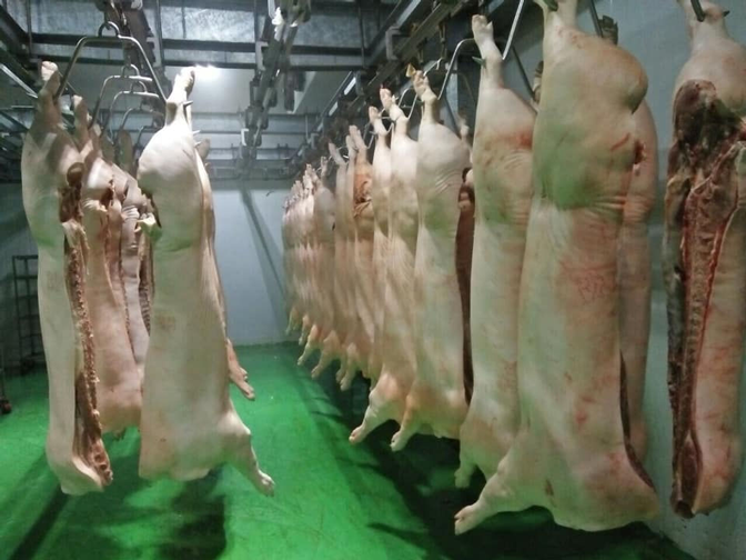 kho trữ đông thịt lợn, thịt gà, thịt bò,