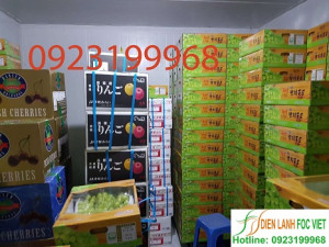 Lắp đặt kho lạnh bảo quản trái cây nhập khẩu tại Hà Nội